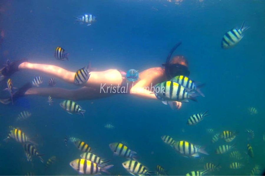 Kristal Foto